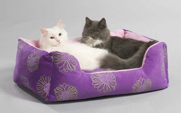 Cosma und Isidor.jpg